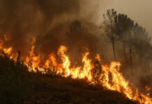 A stunning new reports blames Flatlanders for most fires.