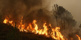 A stunning new reports blames Flatlanders for most fires.