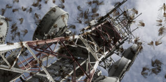 A massive new study has found that cell towers kill disease-laden mosquitoes.