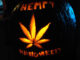 Nevada City to Host Nation’s 3rd Annual “Halloweed” Parade