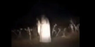 A famous Gold Rush era ghost was spotted on Highway 20 recently.