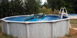 A massive dolphin masturbation ring was busted up outside the Nevada City, CA city limits by Federal officials working with the local Sheriff.